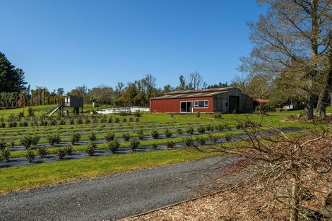 Photo of property in 15 Dekker Road, Omanawa, Tauranga, 3173