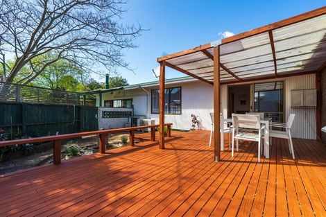 Photo of property in 16 James Street, Mangapapa, Gisborne, 4010