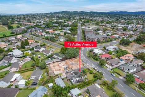 Photo of property in 48 Astley Avenue, New Lynn, Auckland, 0600