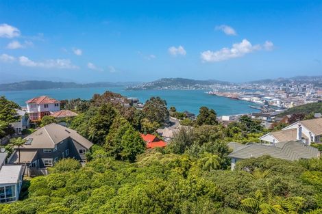 Photo of property in 14 Tensing Place, Khandallah, Wellington, 6035