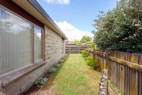 Photo of property in 8d Vosper Street, Matamata, 3400