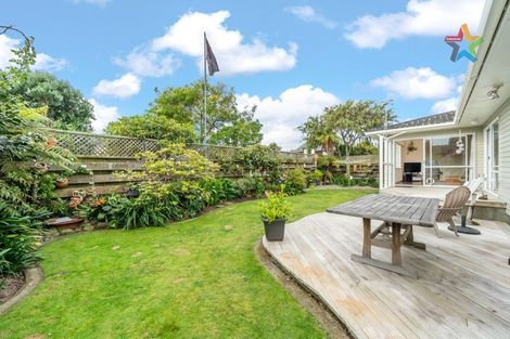 Photo of property in 41 Orr Crescent, Hutt Central, Lower Hutt, 5011