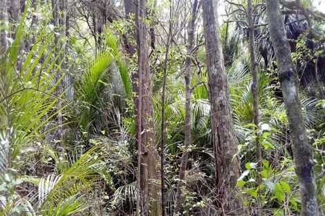 Photo of property in 108 Garbolino Road, Mangawhai, Kaiwaka, 0573