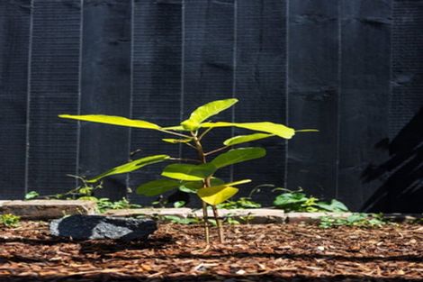 Photo of property in 4/36 Kinloch Street, St Albans, Christchurch, 8014