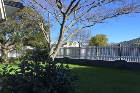 Photo of property in 77 Cambria Street, The Wood, Nelson, 7010