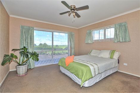 Photo of property in 145 Hall Road, Rangiriri, Te Kauwhata, 3782