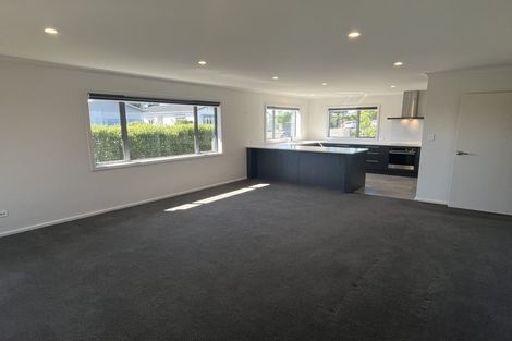 Photo of property in 10a Knowles Street, Terrace End, Palmerston North, 4410