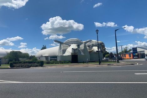 Photo of property in 20 Goodwin Street, Tirau, 3410