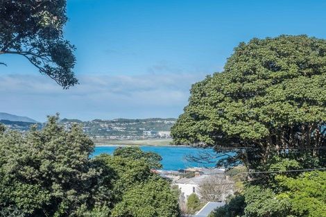 Photo of property in 36 Rakau Road, Hataitai, Wellington, 6021