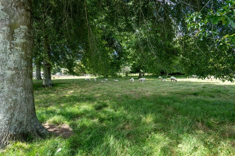 Photo of property in 21 Bollard Road, Tamahere, 3283