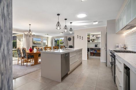 Photo of property in 167 Hollister Lane, Ohauiti, Tauranga, 3112