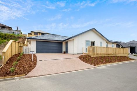 Photo of property in 11 Hyforce Way, Bethlehem, Tauranga, 3110