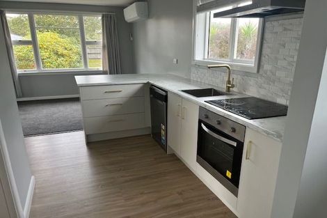 Photo of property in 38 Cutts Road, Russley, Christchurch, 8042