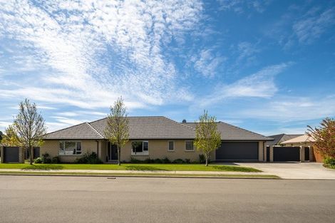 Photo of property in 37 Maeburn Street, Witherlea, Blenheim, 7201