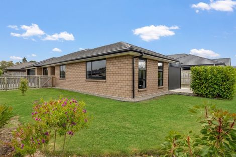 Photo of property in 17 Monarch Drive, Ashhurst, 4810