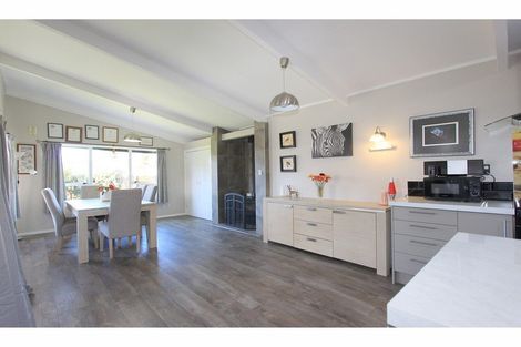 Photo of property in 58 Leefield Street, Blenheim, 7201