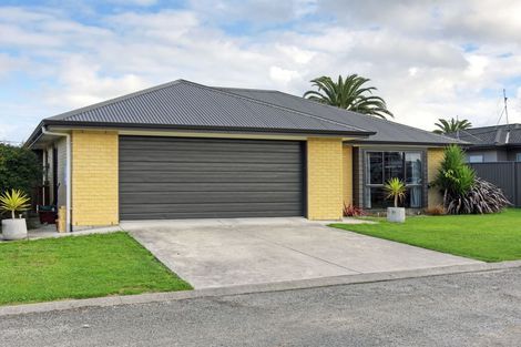 Photo of property in 47 Daniell Street, Solway, Masterton, 5810