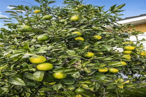 Photo of property in 5/31 Bowater Place, Manurewa, Auckland, 2102