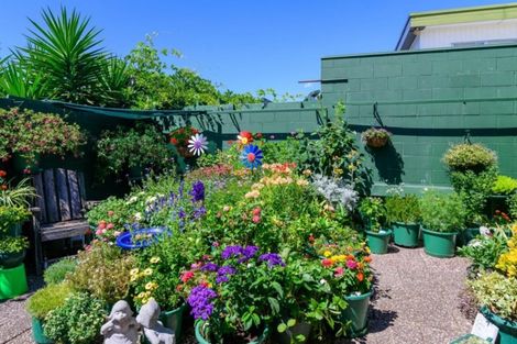 Photo of property in 24a Toko Street, Victoria, Rotorua, 3010