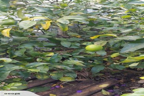 Photo of property in 9 Fowlers Avenue, Frankton, Hamilton, 3204