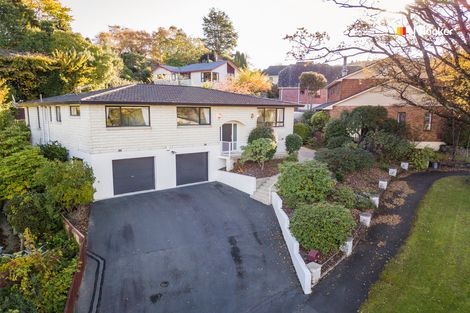 Photo of property in 41 Glenross Street, Glenross, Dunedin, 9011