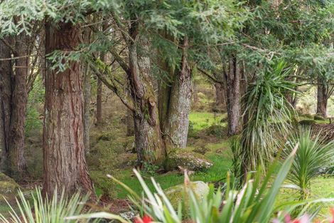 Photo of property in 126a Apotu Road, Kauri, Kamo, 0185