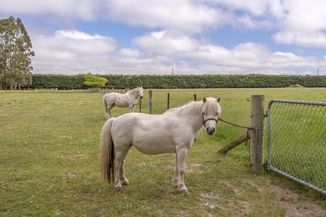 Photo of property in 1592 Tram Road, Swannanoa, Rangiora, 7475