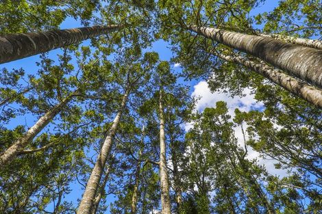 Photo of property in 131 Upper Harbour Drive, Greenhithe, Auckland, 0632