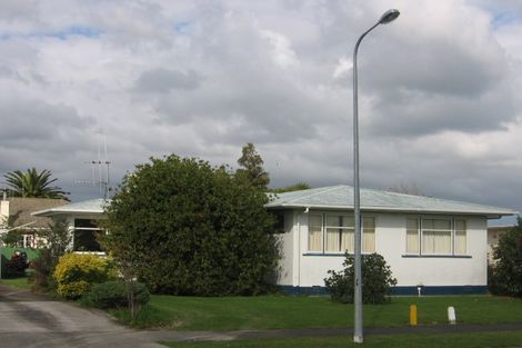 Photo of property in 34 Paisley Street, Awapuni, Palmerston North, 4412