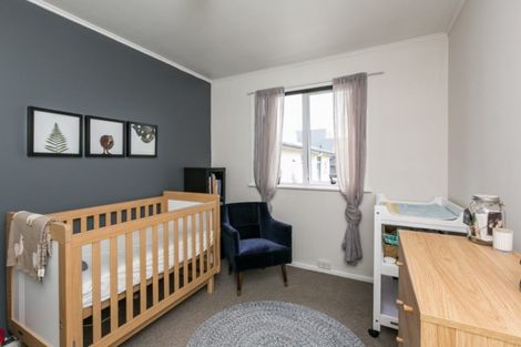 Photo of property in 197 Nikau Street, Saint Leonards, Hastings, 4120