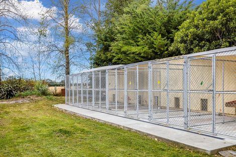 Photo of property in 8 Newton Place, Amberley, 7410