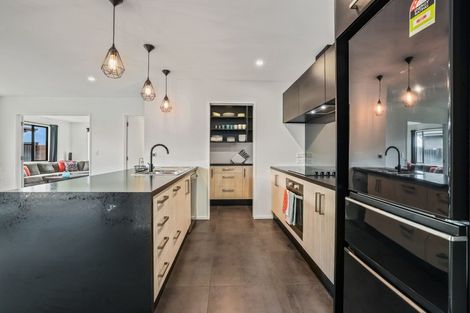 Photo of property in 15 Guyon Street, Marshland, Christchurch, 8083