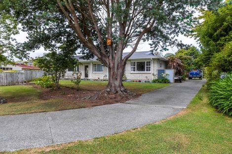 Photo of property in 19 Tennent Court, Marton, 4710