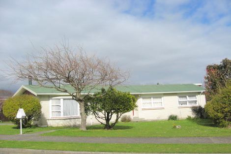 Photo of property in 43 Read Street, Levin, 5510