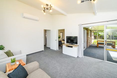 Photo of property in 115 Winchester Street, Ashhurst, 4810