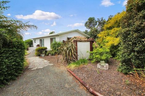 Photo of property in 44 Puriri Block Road, Kaingaroa, Kaitaia, 0482