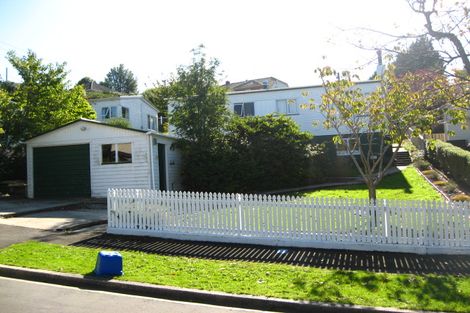 Photo of property in 145 Chapman Street, Wakari, Dunedin, 9010