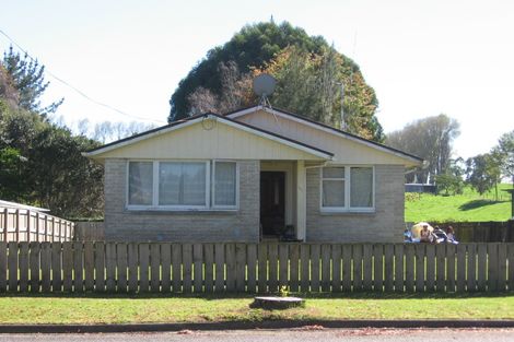 Photo of property in 147 Arapuni Street, Putaruru, 3411