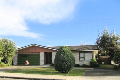 Photo of property in 106 Lyndhurst Road, Frimley, Hastings, 4120