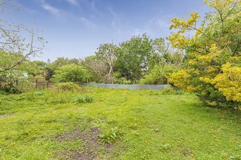 Photo of property in 124 Portage Road, New Lynn, Auckland, 0600