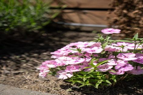 Photo of property in 26 Marshs Road, Templeton, Christchurch, 8042