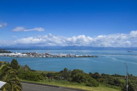 Photo of property in 19 Davies Drive, Atawhai, Nelson, 7010