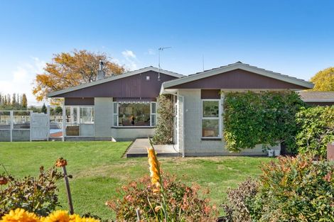 Photo of property in 237 Te Whiti Road, Homebush, Masterton, 5885