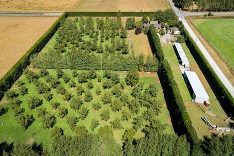 Photo of property in 556 Steffens Road, Starvation Hill, Oxford, 7495