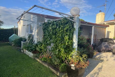 Photo of property in 20 Minifie Avenue, Melville, Hamilton, 3206