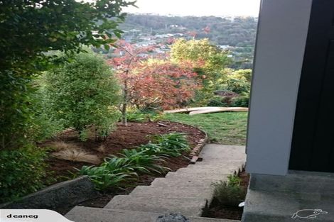 Photo of property in 58 Waimea Avenue, Calton Hill, Dunedin, 9012