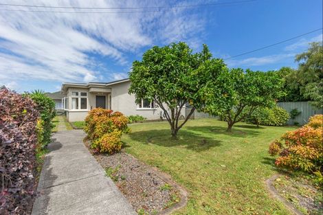 Photo of property in 9 York Street, Levin, 5510