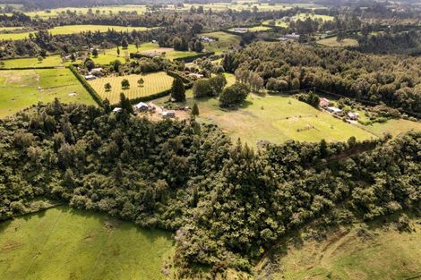 Photo of property in 1203 Omanawa Road, Omanawa, Tauranga, 3171