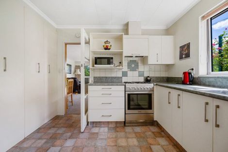 Photo of property in 111a Tarbert Street, Alexandra, 9320