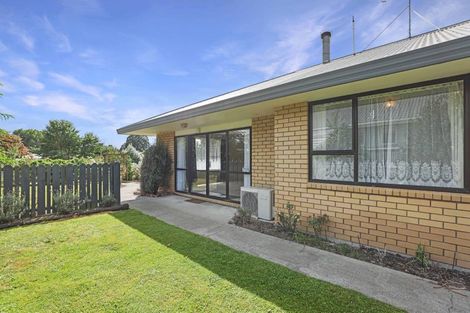 Photo of property in 91 Michael Street, Rakaia, 7710